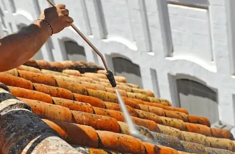 Nettoyage de toitures - Paray-le-Frésil